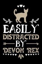 Easily Distracted By Devon Rex