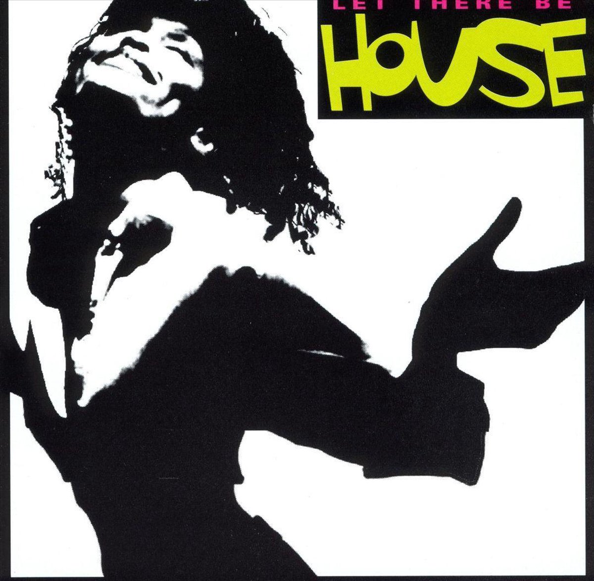 Afbeelding van product Let There Be House  - various artists