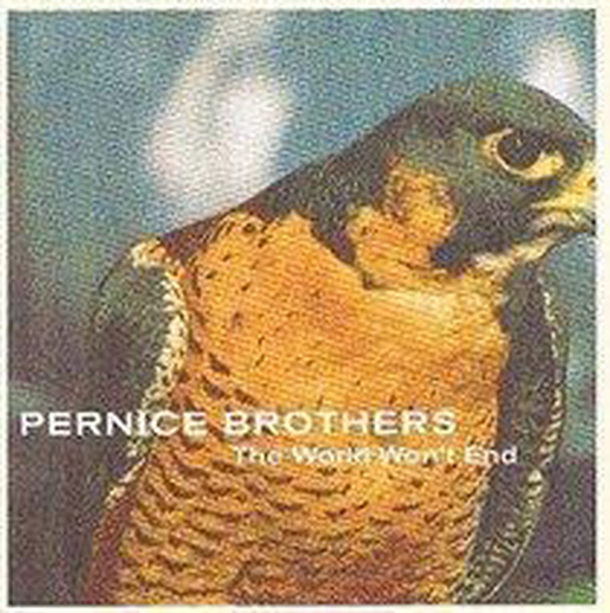 Pernice Brothers - World Won't End