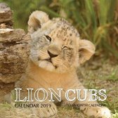 Lion Cubs Calendar 2019