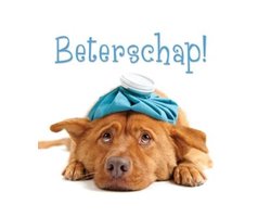 Beterschap!