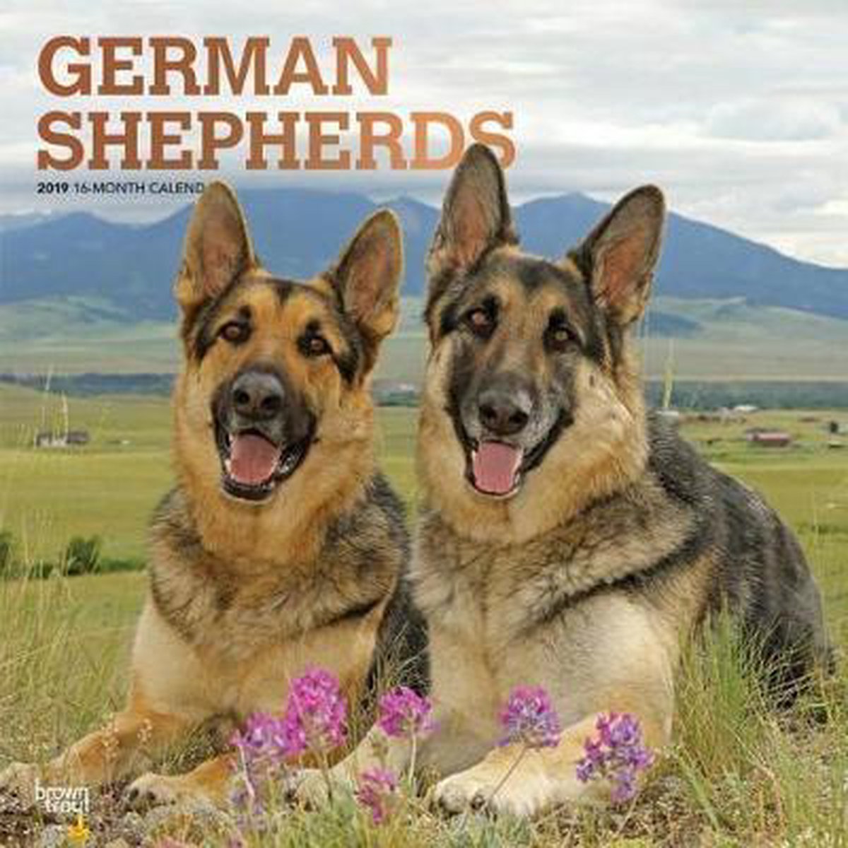 Duitse Herder Kalender 2019
