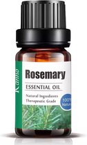 Essentiële Olie voor Aromatherapie/Bad 10ml - Natuurlijke Pure Etherische Olie - Rosemary