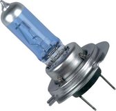 Autolampen H7 - 12V - 55W - Xenon blauw