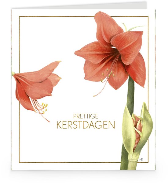 Hallmark Kerstkaarten Marjolein Bastin set van 16 stuks