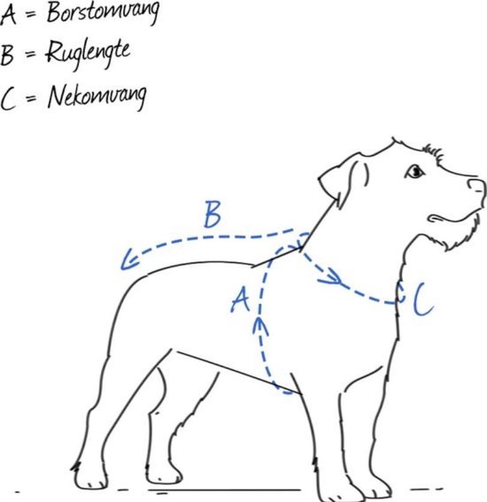 Honden Harnas - Honden Tuigje -  Soft Coating - Middelgrote en Kleine Honden - Met Riem - Zwart