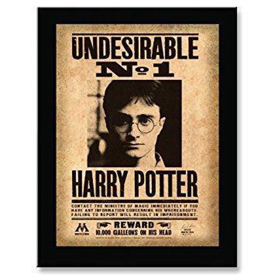 Muurplaat "Undesirable N1" Harry Potter