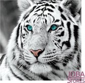Diamond Painting "JobaStores®" Witte Tijger Kop 20x20cm