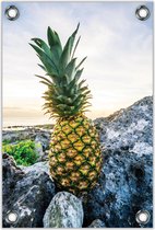 Tuinposter –Ananas op de Rots – 60x90cm Foto op Tuinposter (wanddecoratie voor buiten en binnen)