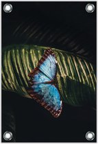 Tuinposter –Vlinder op Blad – 40x60cm Foto op Tuinposter (wanddecoratie voor buiten en binnen)