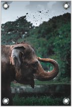 Tuinposter –Olifant gooiend met Aarde – 40x60cm Foto op Tuinposter (wanddecoratie voor buiten en binnen)