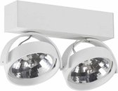 Artdelight - Plafondlamp Dutchess 2L - Wit - 2x LED 15W 2200K-3000K - IP20 - Dim To Warm > spots wit | spotjes wit | spotjes plafondlamp wit | spots verlichting wit led | opbouwspot wit led | led lamp wit
