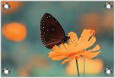 Tuinposter –Zwarte Vlinder op Oranje Bloem– 60x40 Foto op Tuinposter (wanddecoratie voor buiten en binnen)