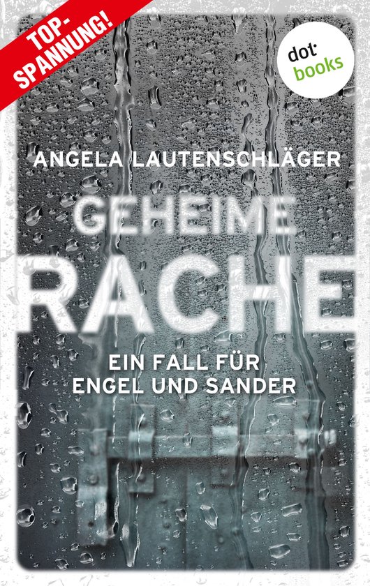 Ein Fall für Engel und Sander 2 - Geheime Rache