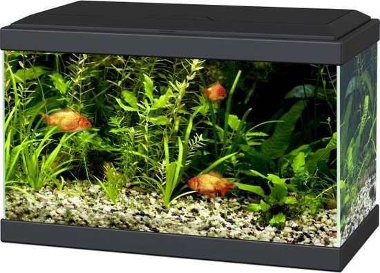 Ciano aqua 20 aquarium - 40x 20x31 cm - 17l - zwart