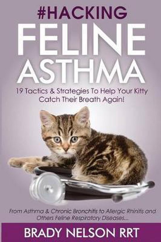 Hacking Feline Asthma 19 Tactics to Help Your Kitty Catch Their