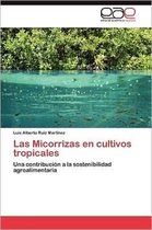 Las Micorrizas en cultivos tropicales