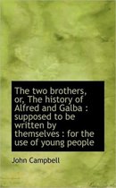 The Two Brothers, Or, the History of Alfred and Galba