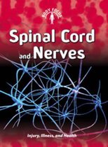 Spinal Cord and Nerves