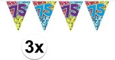 3x Mini vlaggenlijn / slinger - verjaardag 75  jaar - 300 cm