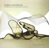 Project Soundwave: An Exploration into the Nature of Sound