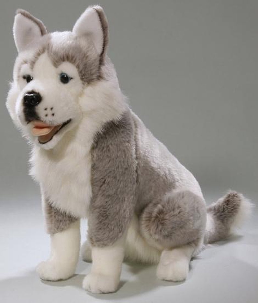 pluche-husky-hond-knuffel-37-cm-bol