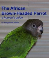 African Brown-Headed Parrot: A Human's Guide