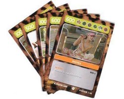 Zoop Ranger Cards Panter