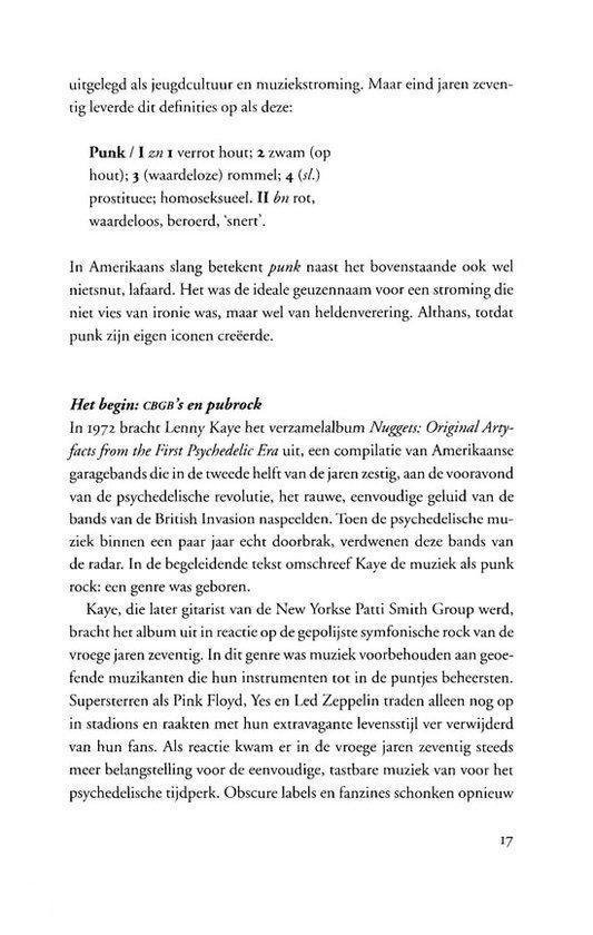 Pagina met tekst over punk, met vetgedrukte sectietitels en citaten. Pagina 17.