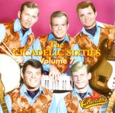 The Cicadelic 60's Vol. 7: From Texas To Tuscon