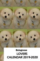 Bolognese Lovers Calendar 2019-2020