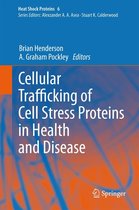 Heat Shock Proteins 6 - Cellular Trafficking of Cell Stress Proteins in Health and Disease