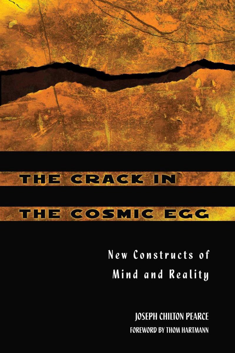Omslag van The Crack in the Cosmic Egg