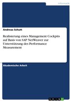 Realisierung eines Management Cockpits auf Basis von SAP NetWeaver zur Unterstützung des Performance Measurement