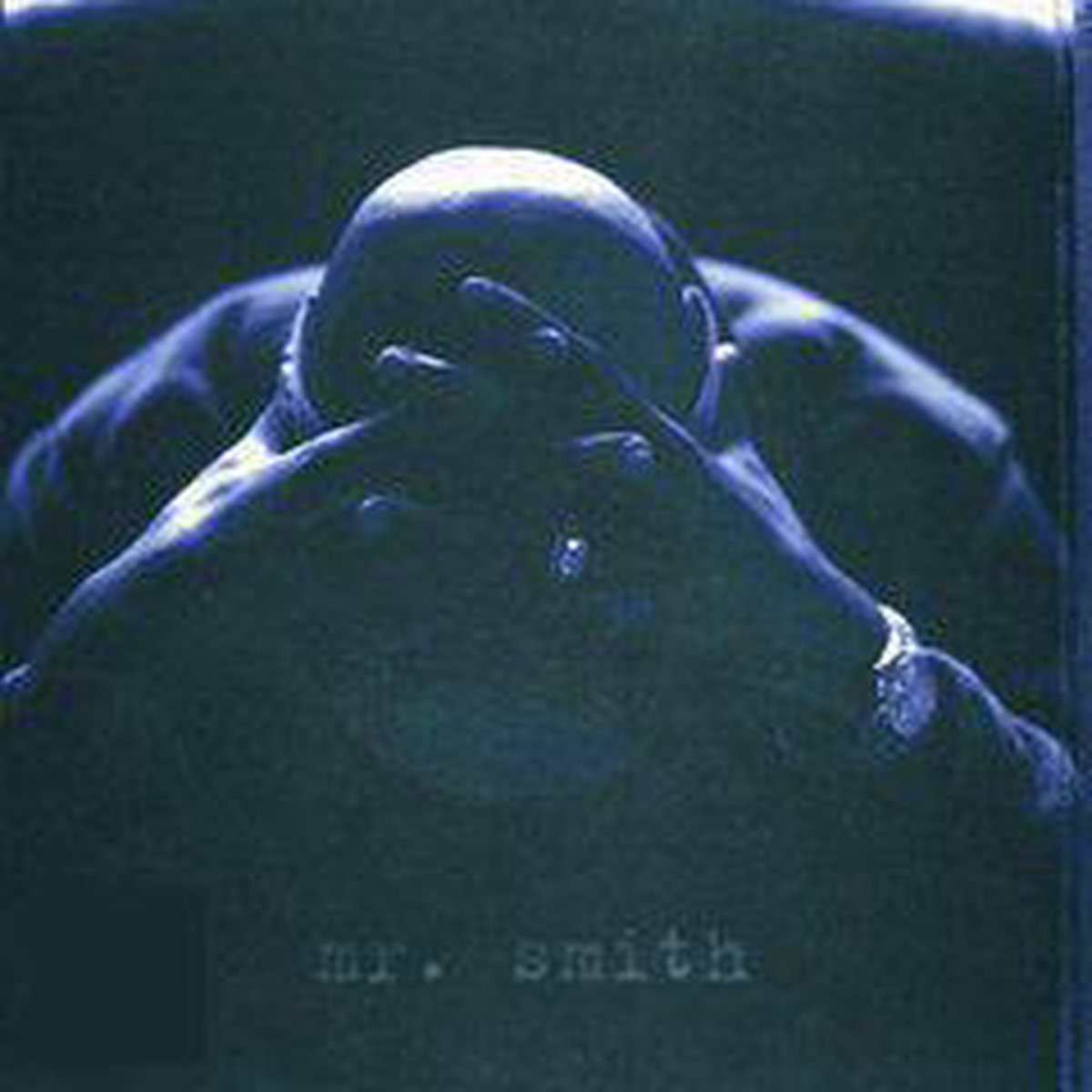 Mr. Smith