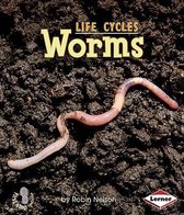 Worms