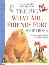 The Big What Are Friends for Storybook