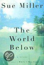 Boek 'The World Below' van Sue Miller, met een aquarelachtige achtergrond van blauwe lucht en groen.
