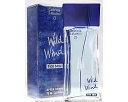 Wild Wind for Men by Gabriela Sabatini (After Shave) » Reviews