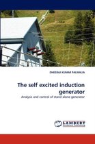 The self excited induction generator