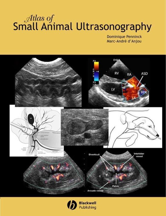 Atlas of Small Animal Ultrasonography 9780813828008