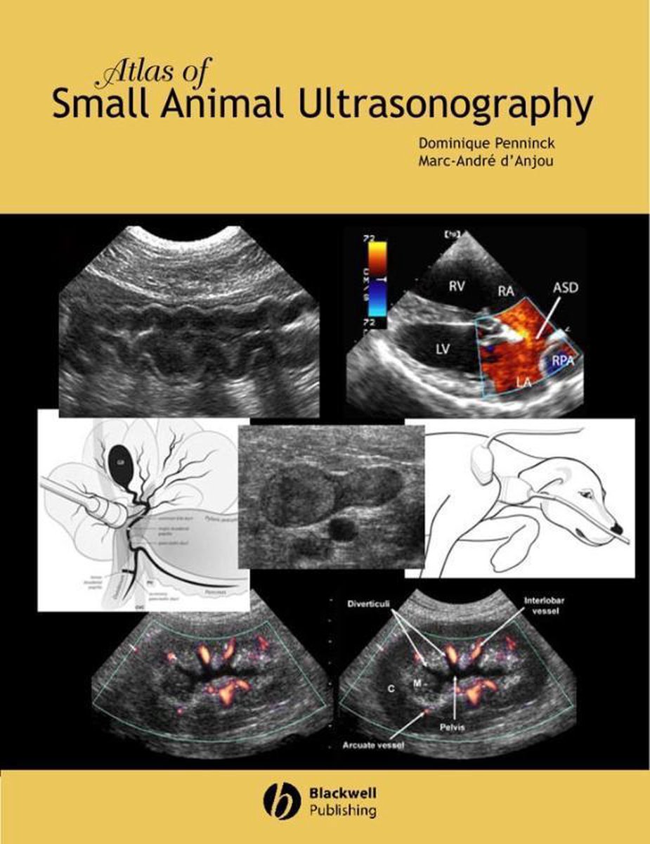 Atlas of Small Animal Ultrasonography | 9780813828008 | Dominique