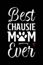Best Chausie Mom Ever