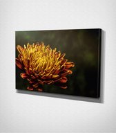 Yellow Flower Canvas - 60 x 40 cm - Bloemen - Schilderij - Canvas - Slaapkamer - Wanddecoratie  - Slaapkamer - Foto op canvas