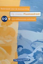 Op niveau pluskwadraat