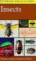 A Field Guide To Insects