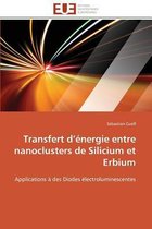 Transfert d'énergie entre nanoclusters de Silicium et Erbium