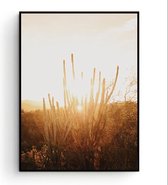 Postercity - Design Canvas Poster Zomer Zonsopgang - Ondergang door Cactus /  / Kinderkamer / Babykamer - Kinderposter / Babyshower Cadeau / Muurdecoratie / 40 x 30cm / A3