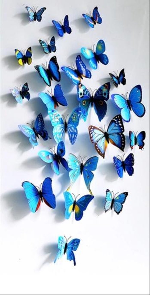 Ditto - 3D Vlinder Muursticker - Huis Decoratie - Blauw -12 stuks - 3D Butterfly Wall sticker - Home Decoration - 12 pieces