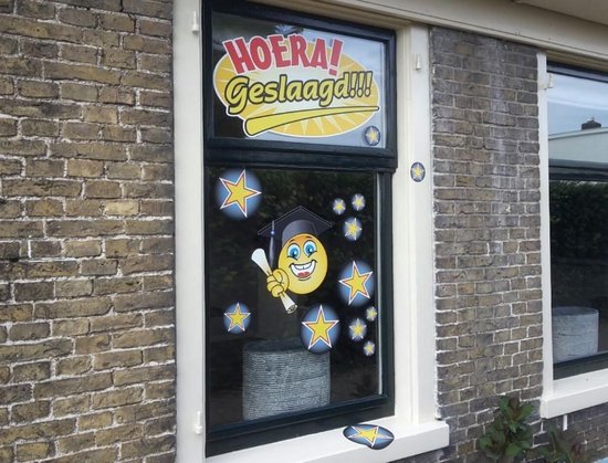 Geslaagd stickers voor op het raam | bol.com